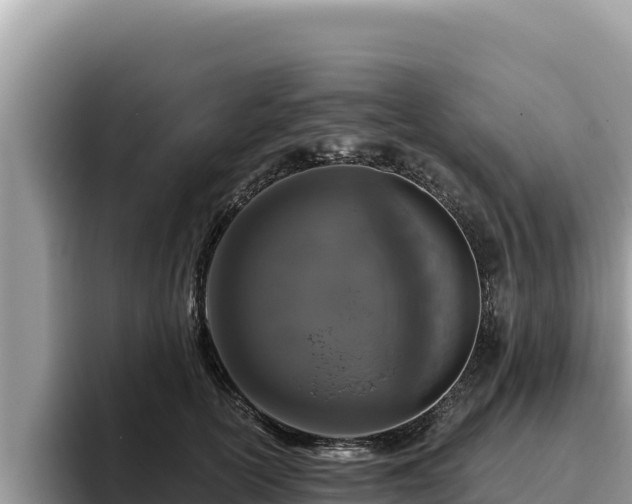 X0000095900754200801181246