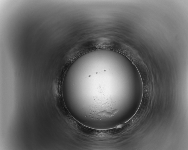 X0000095900755200801181246