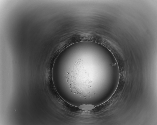 X0000095900756200801181246