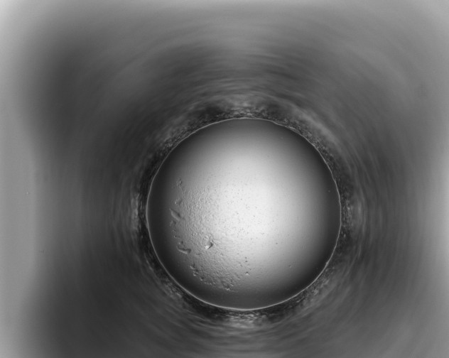 X0000095900757200801181246