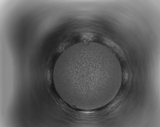 X0000095900759200801181246