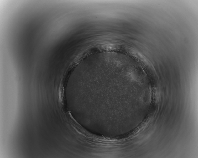 X0000095900760200801181246