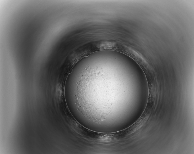 X0000095900761200801181246