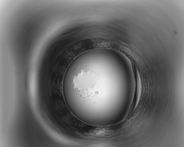 X0000095900764200801181246