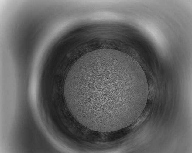 X0000095900765200801181246