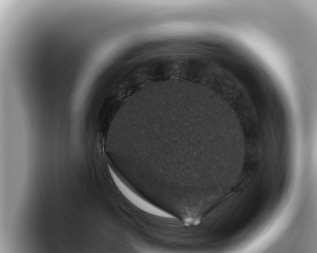 X0000095900766200801181246