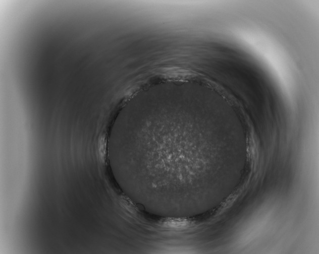 X0000095900767200801181246