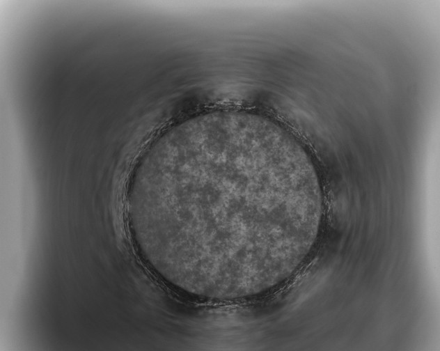 X0000095900769200801181245