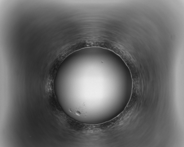 X0000095900770200801181245