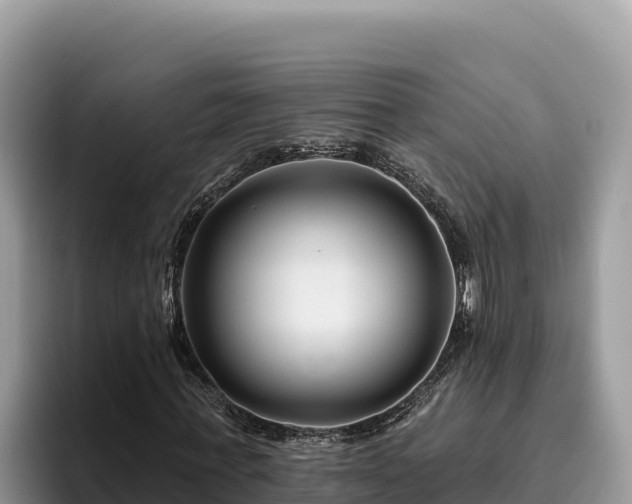 X0000095900771200801181245