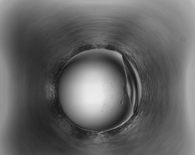 X0000095900772200801181245