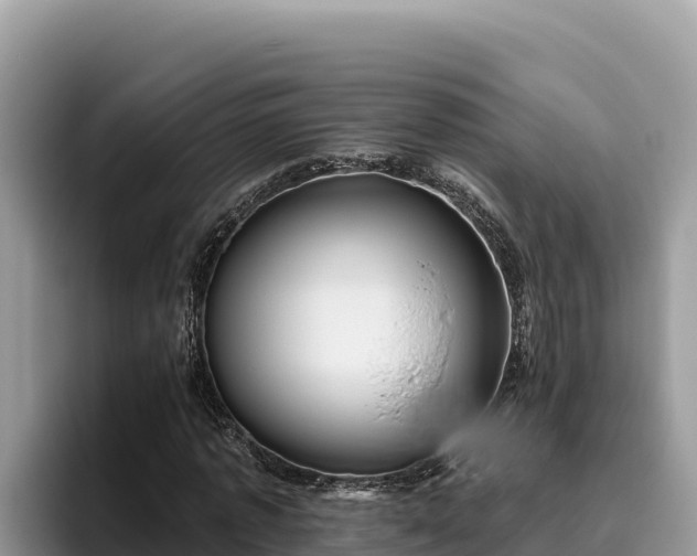 X0000095900773200801181245