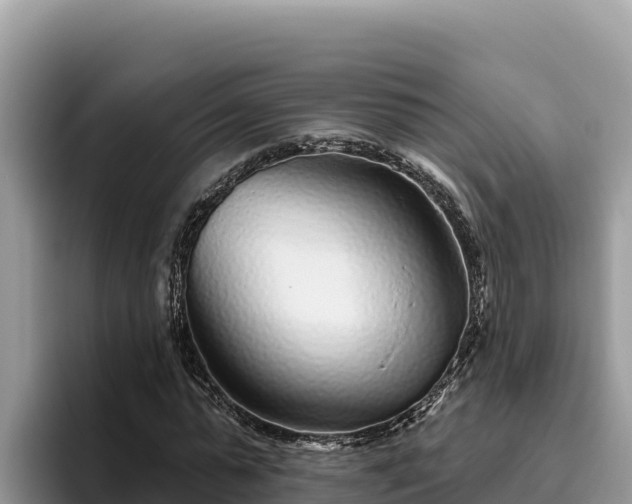 X0000095900775200801181245