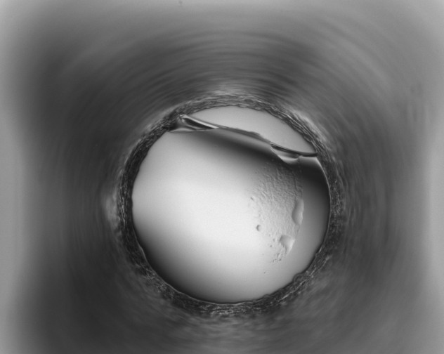 X0000095900776200801181245