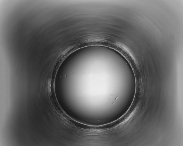 X0000095900777200801181245