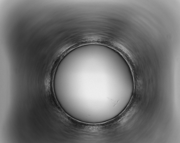 X0000095900778200801181245