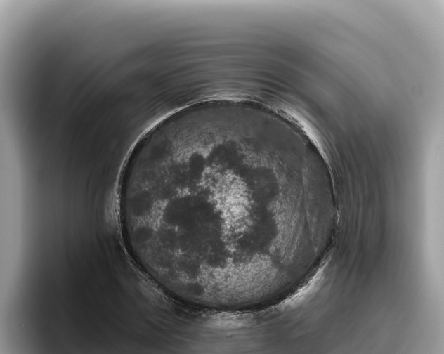 X0000095900779200801181245