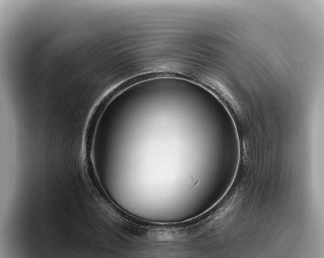 X0000095900780200801181245