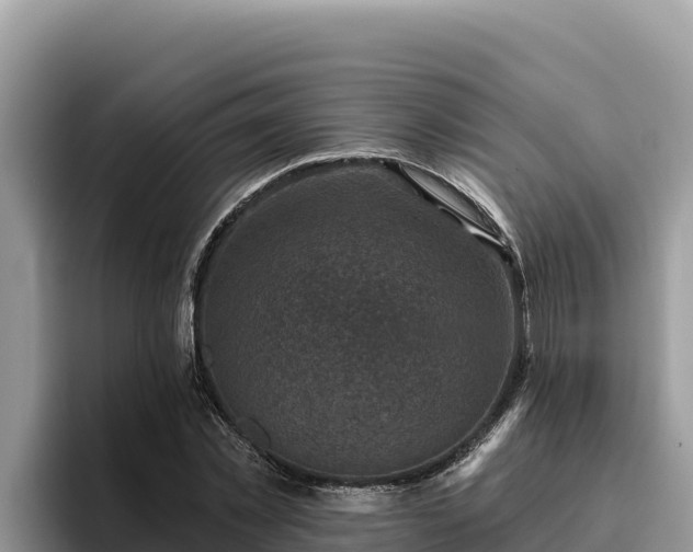 X0000095900781200801181245