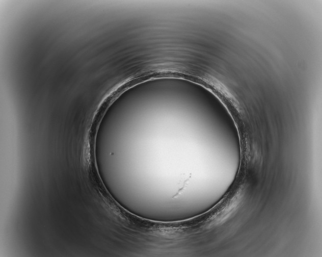 X0000095900782200801181245