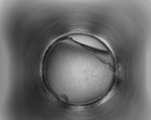 X0000095900783200801181245