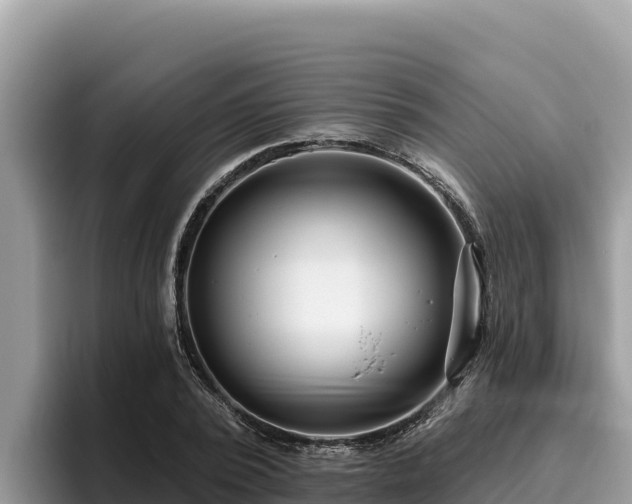 X0000095900784200801181245