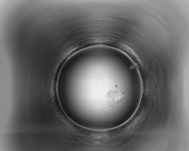 X0000095900786200801181245