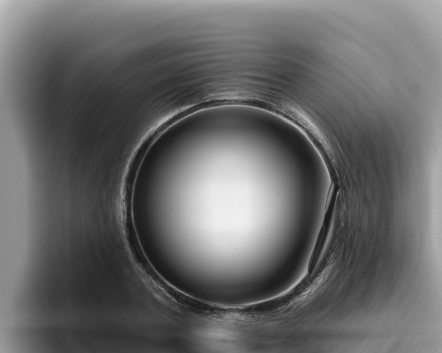 X0000095900787200801181245