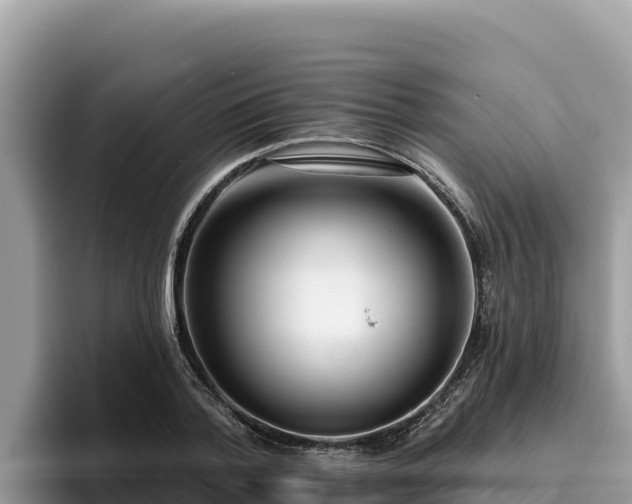 X0000095900788200801181245