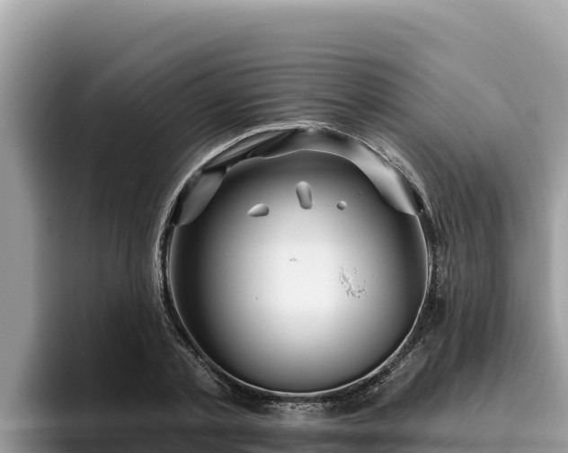 X0000095900789200801181245