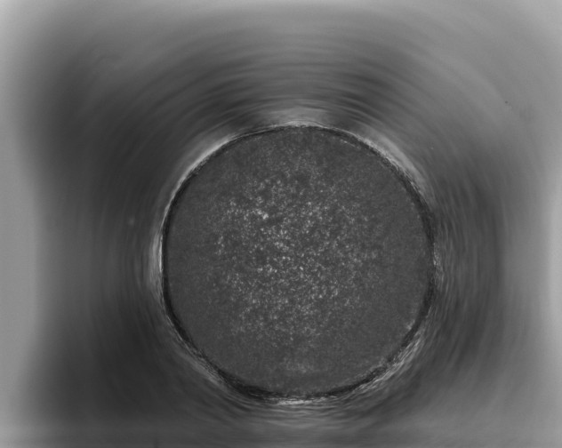 X0000095900790200801181245