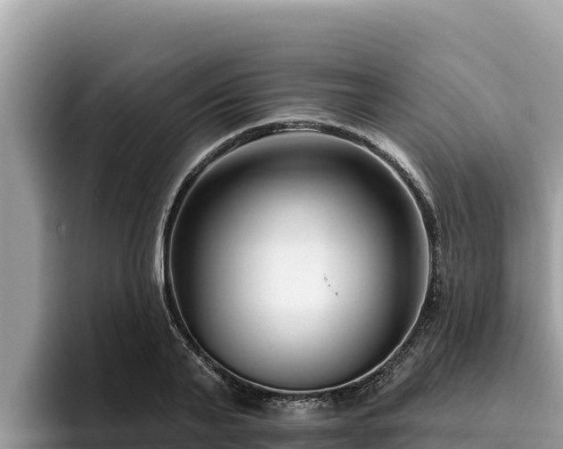 X0000095900791200801181245