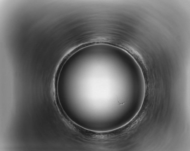 X0000095900792200801181245