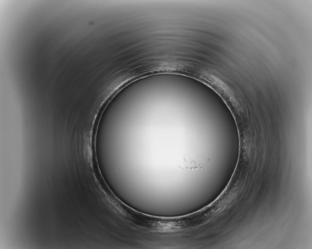 X0000095900794200801181245