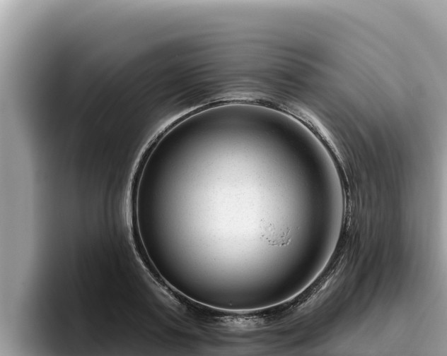 X0000095900795200801181245