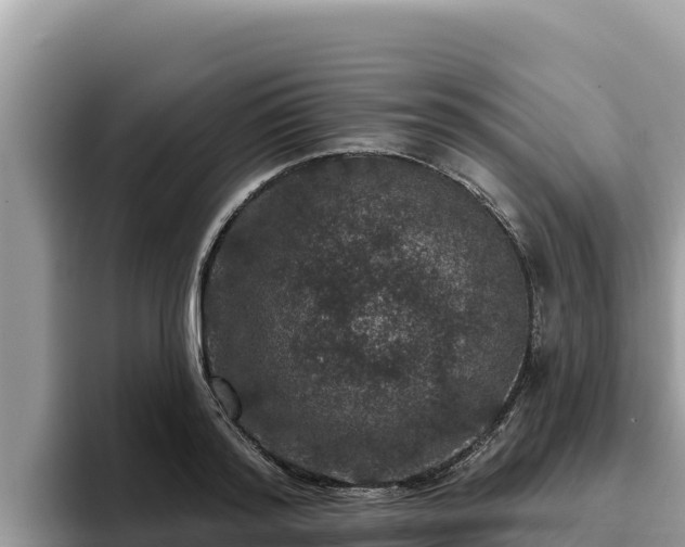 X0000095900796200801181245