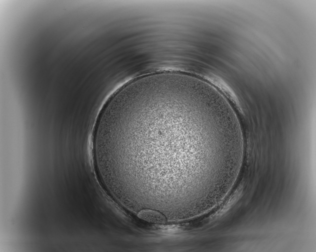 X0000095900798200801181245