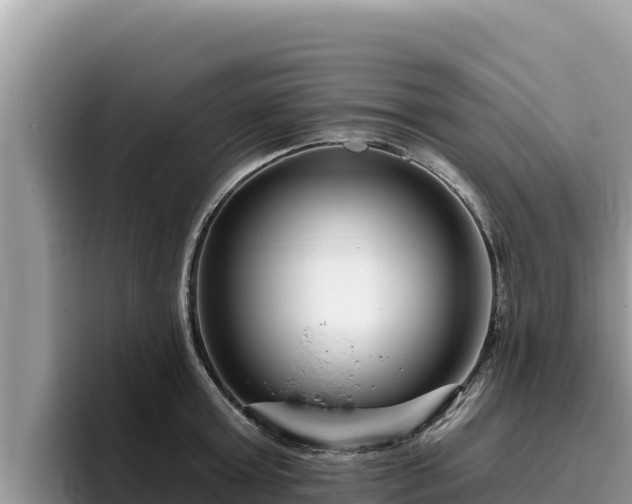 X0000095900803200801181245