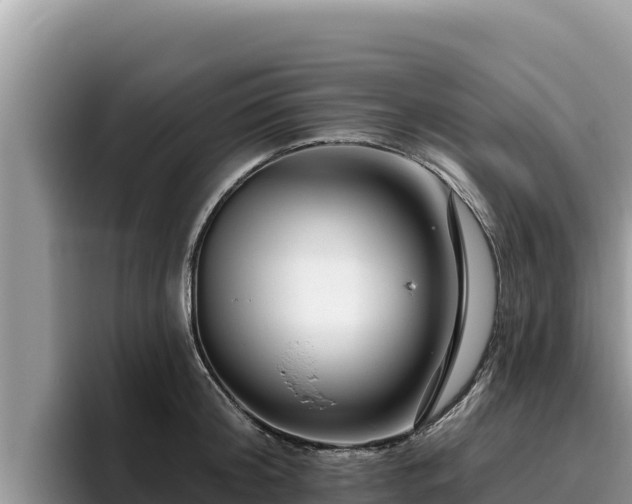 X0000095900804200801181245