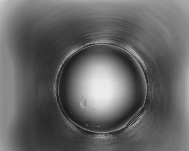 X0000095900805200801181244