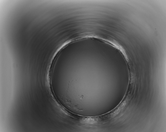 X0000095900806200801181244