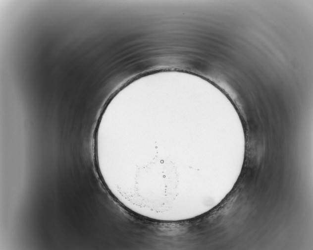 X0000095900807200801181244