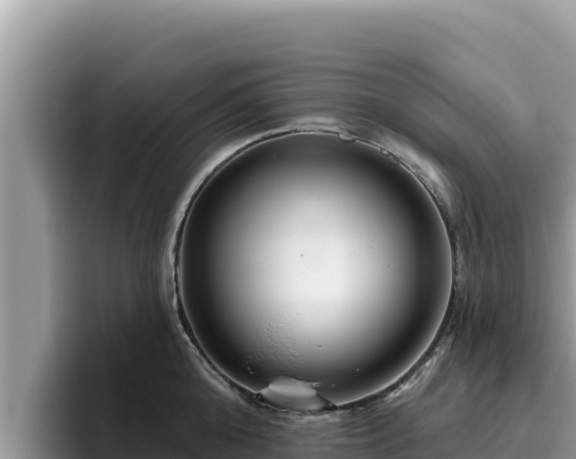 X0000095900808200801181244