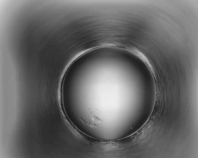 X0000095900811200801181244