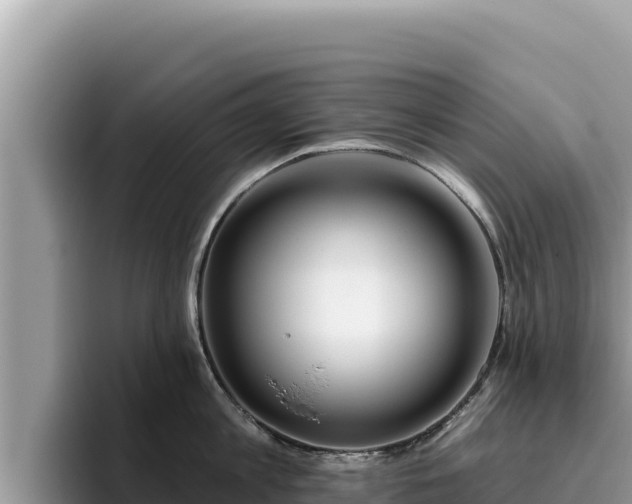 X0000095900813200801181244