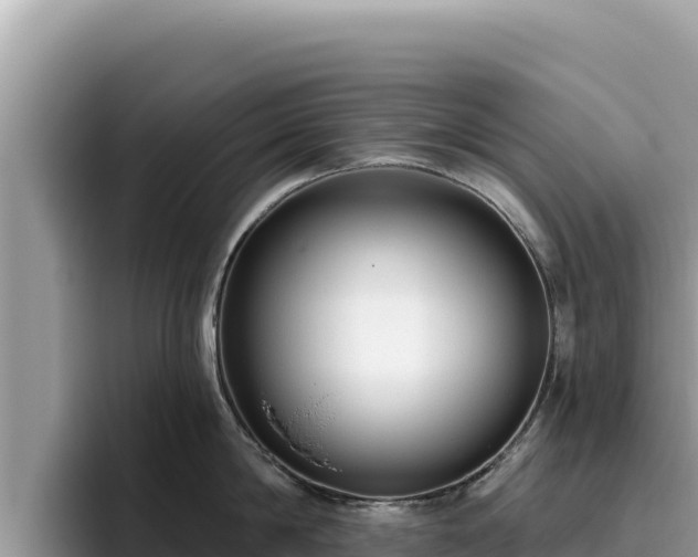 X0000095900814200801181244