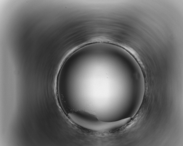 X0000095900815200801181244