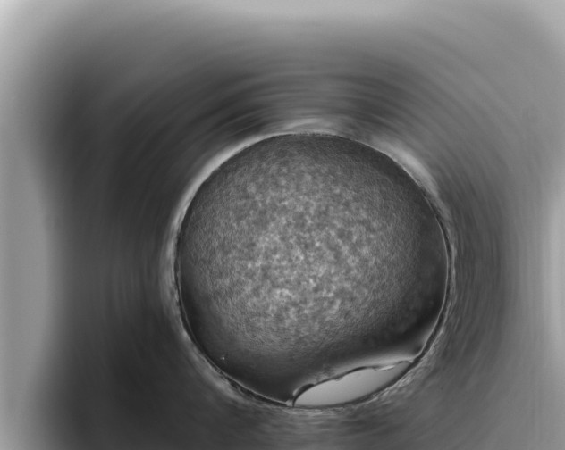 X0000095900816200801181244