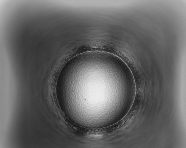 X0000095900817200801181244