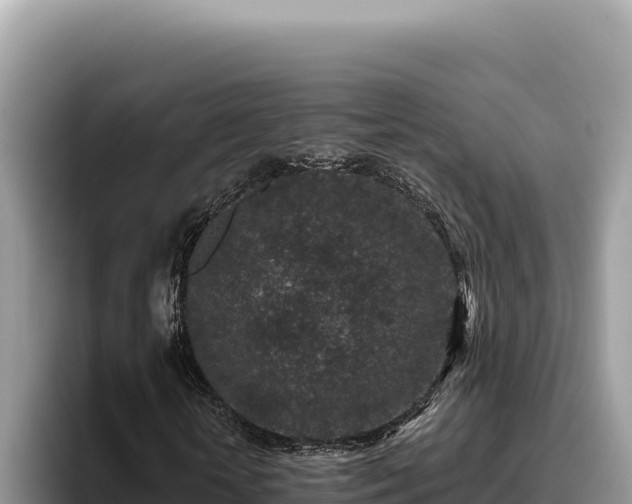 X0000095900818200801181244